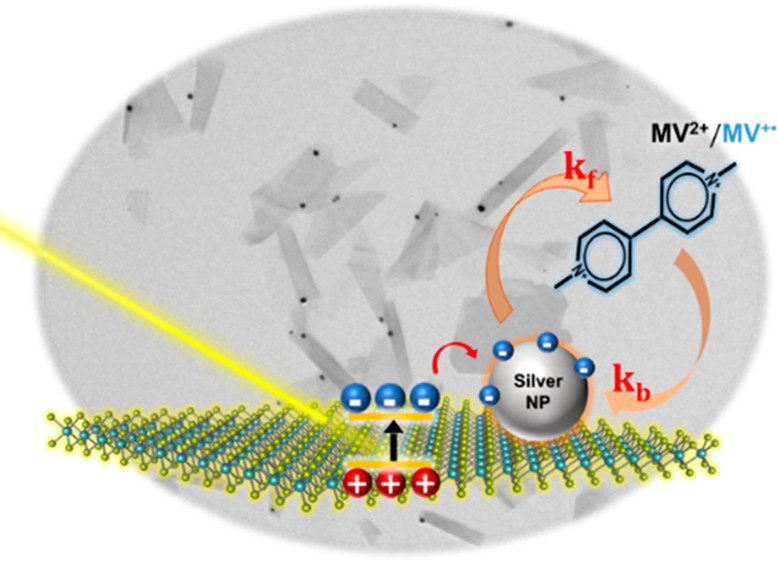 Metal Cocatalyst Dictates Electron Transfer in Ag-Decorated MoS<sub>2</sub> Nanosheets